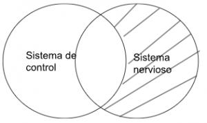 Silogismo aristotélico sistema de control - sistema nervioso.png