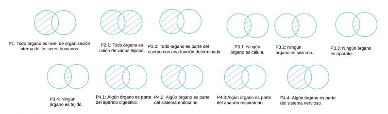 Archivo:Organo 3.jpg