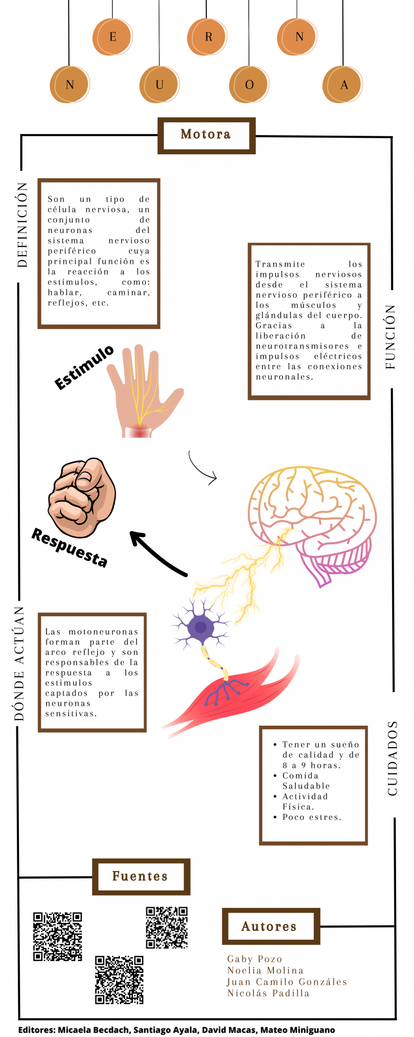 Neuronas Motoras