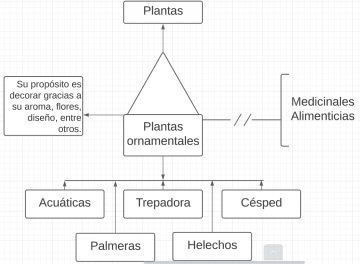 Pseudomentefacto plantas ornamentales