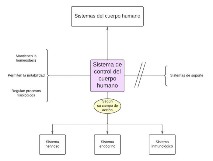 Mentefacto Sistema de Control.jpg