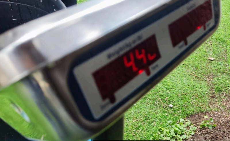 Archivo:Foto 2- Cada bocado cuenta.png