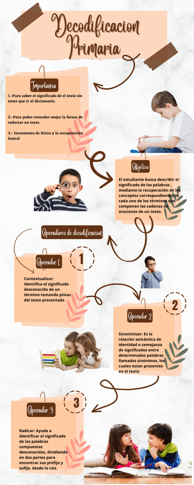 G6 Decodificacion Primaria Infografia