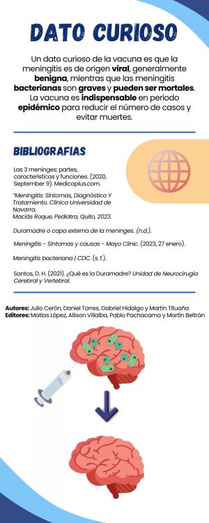 Infografía Meninges 2.jpg