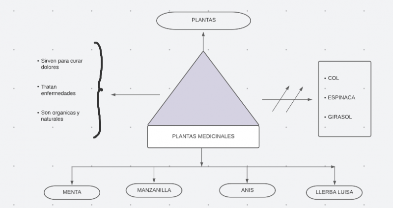 Archivo:Mentefacto plantas medicinales.png