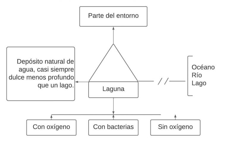 Pseudomentefacto laguna