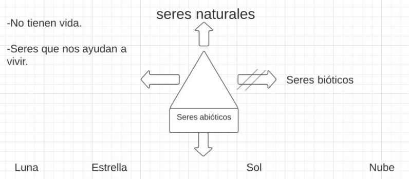 Mentefacto seres abióticos..jpg