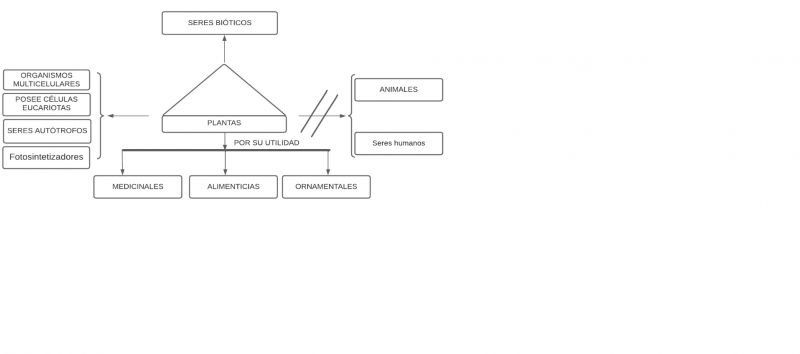 Archivo:Pseudo mentefacto plantas.jpg