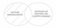 P1. Todo sistema inmunológico es un sistema de control del cuerpo humano.