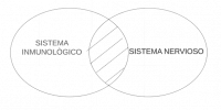 P3.1. Ningún Sistema inmunológico es sistema nervioso