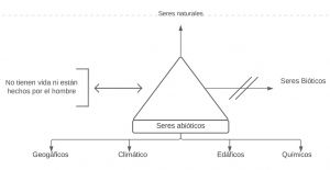 Pseudomentefacto Seres Abióticos